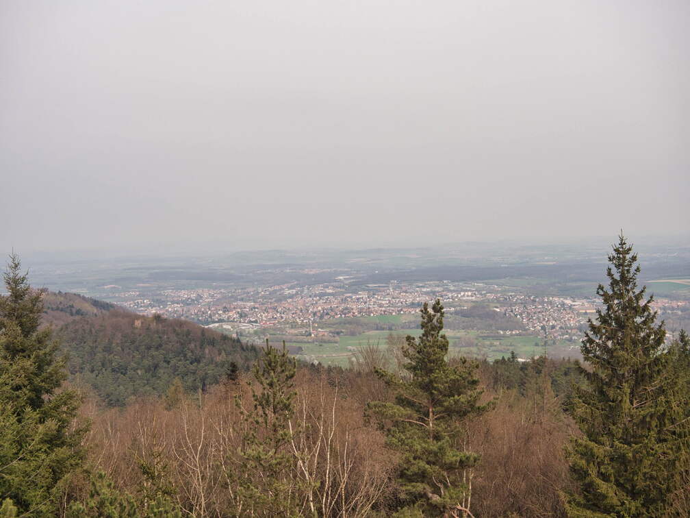 P3290254